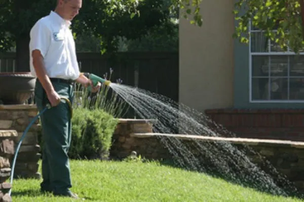 Custom landscape design in Montclair, CA - Lawnscape Systems