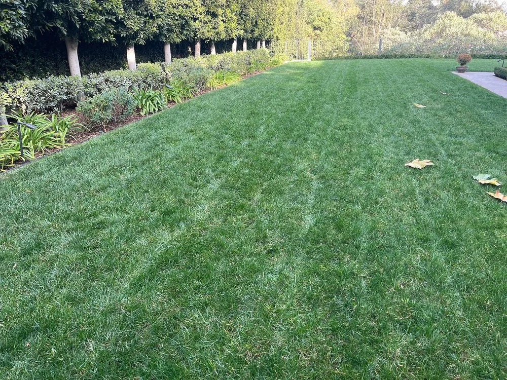 Custom landscaping services in Montclair, CA - Lawnscape Systems
