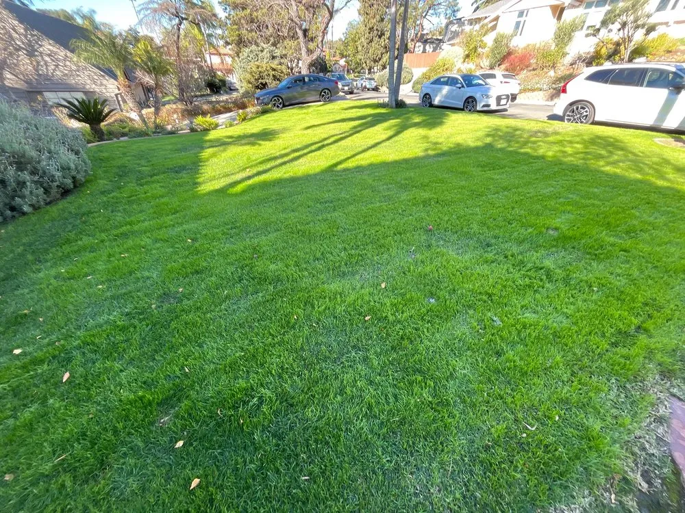 Expert residential landscaping in Montclair, CA by Lawnscape Systems
