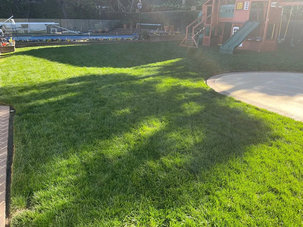 Trusted residential landscaping in Montclair, CA by Lawnscape Systems