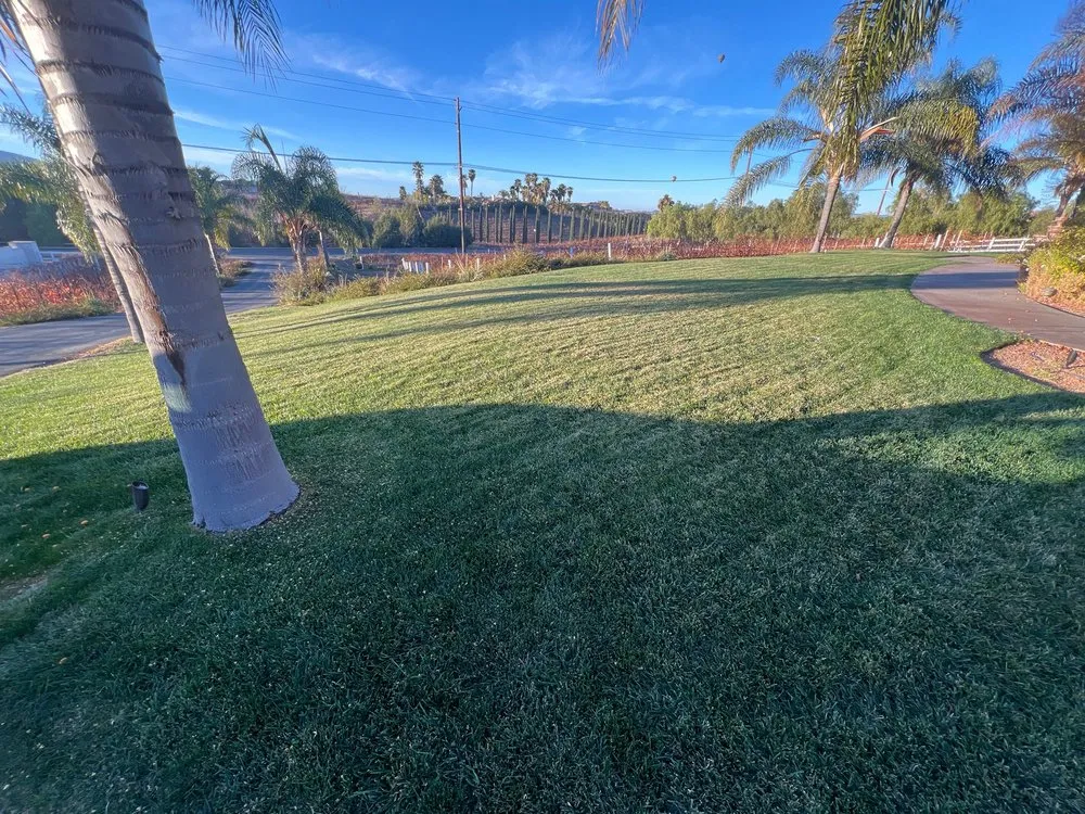 Professional yard cleanup service for homes in Montclair, CA by Lawnscape Systems