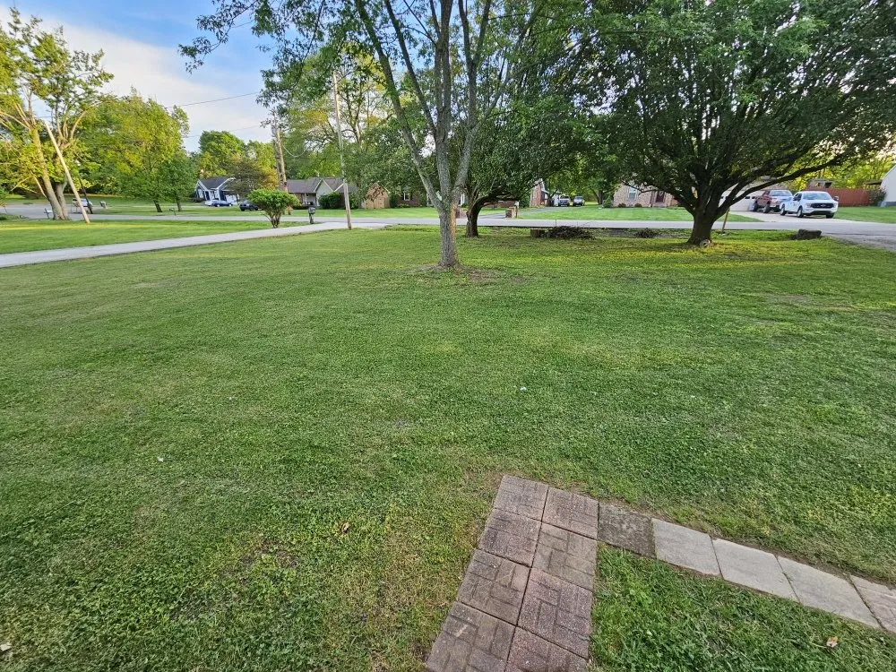 Affordable garden landscaping experts serving White House, TN - Lawnscapers TN