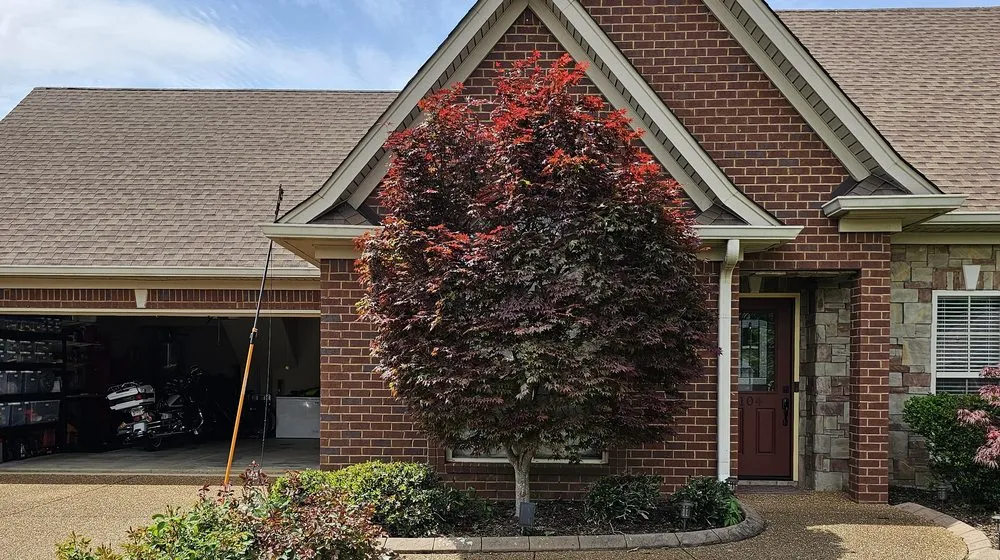 Professional outdoor landscaping in White House, TN - Lawnscapers TN