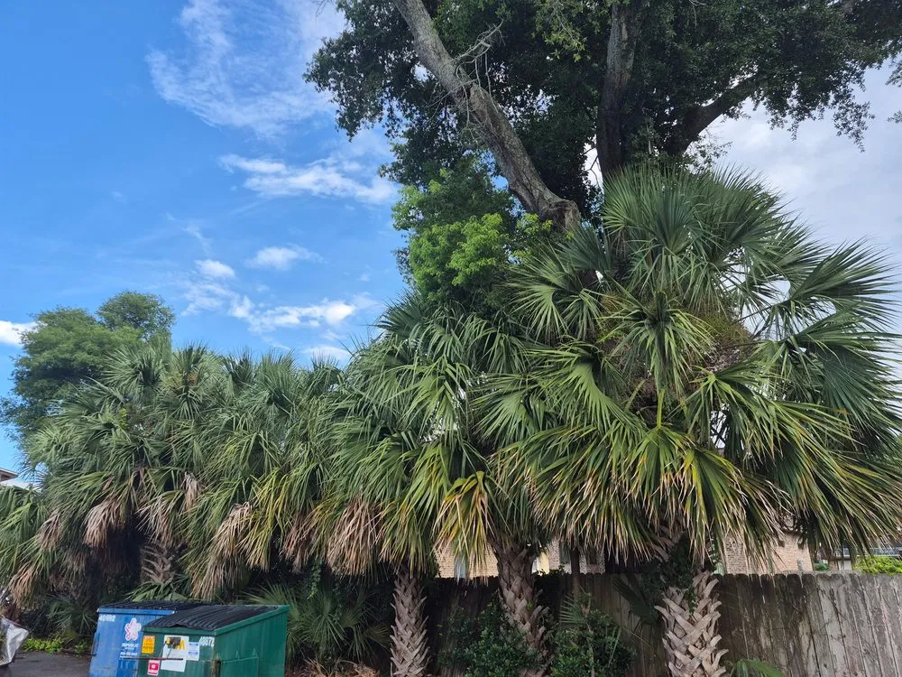 Custom garden landscaping for year-round maintenance in Pensacola, FL by Lawnscapes 850