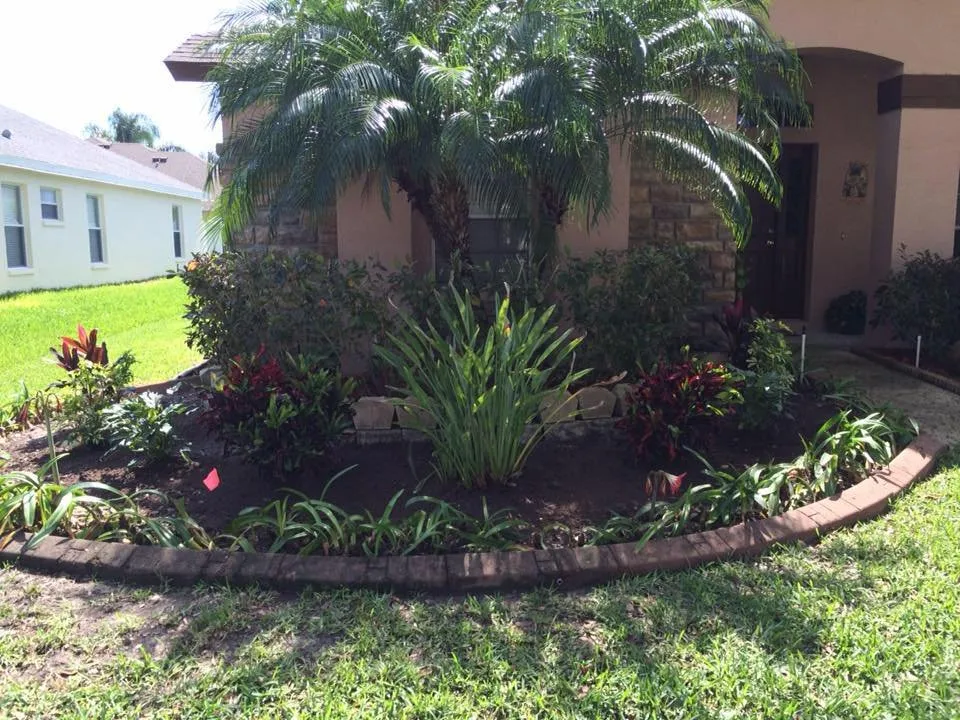 Custom yard cleanup service in Tampa, FL by Lawnscapes by Personal Touch