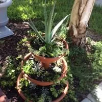 Affordable landscape installation experts serving Tampa, FL - Lawnscapes by Personal Touch