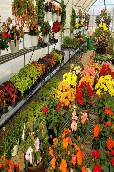 Trusted landscape design in Eureka, IL - Lawnscapes Eureka