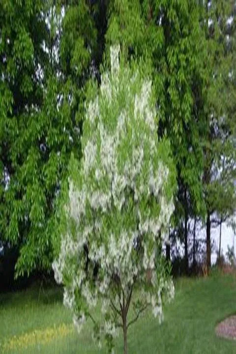 Trusted landscape design for outdoor upgrades in Eureka, IL by Lawnscapes Eureka