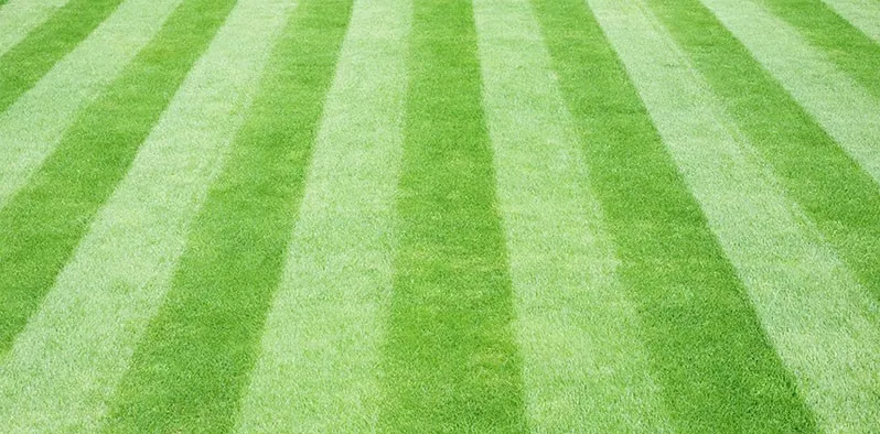 Reliable yard cleanup service in Garden City, KS - Lawnscapes