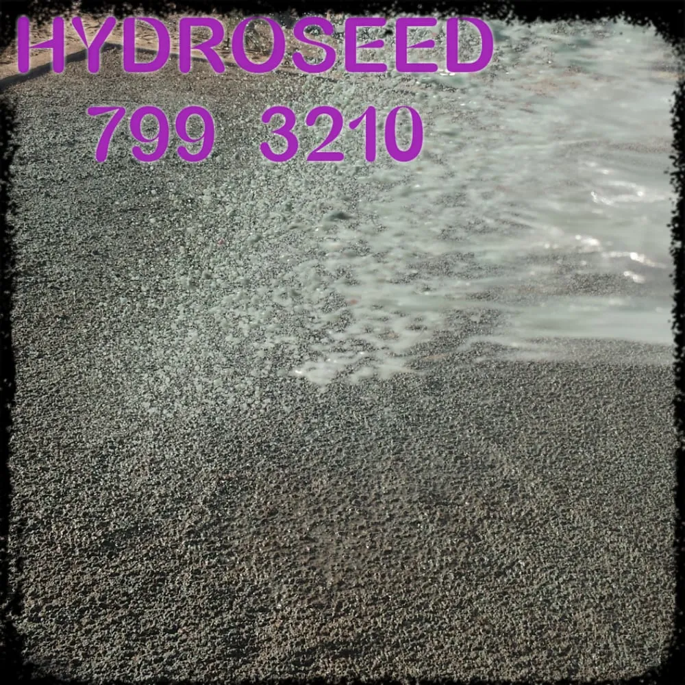 Professional landscape design in Visalia, CA by Lawnscapes Hydroseeding