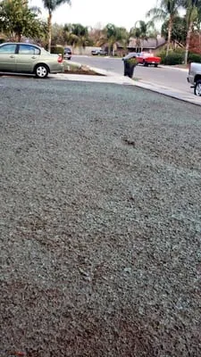 Lawnscapes Hydroseeding Logo