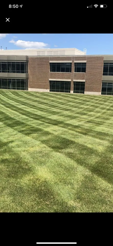 Top-rated lawn care service for homes across Madison, WI - Lawnscapes