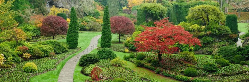 Affordable lawn care service for outdoor upgrades in Mechanicsburg, PA by Lawnscapes