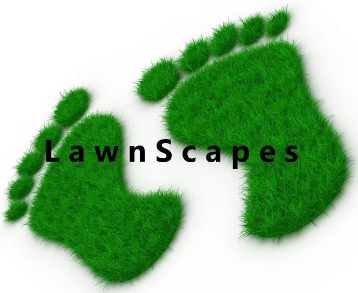 Reliable yard maintenance for beautiful yards across Billings, MT - LawnScapes of Billings