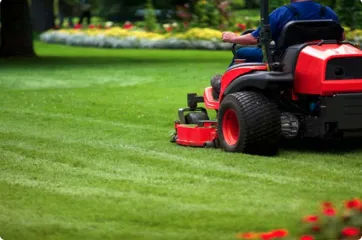 Local outdoor landscaping near you across San Antonio, TX - LawnScapes of San Antonio