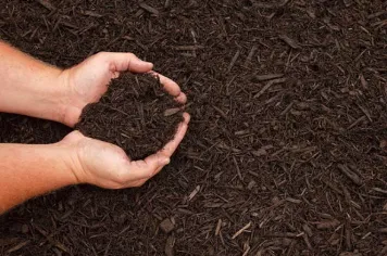 Professional garden landscaping for residential properties in San Antonio, TX by LawnScapes of San Antonio