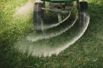 Local yard maintenance experts serving San Antonio, TX - LawnScapes of San Antonio