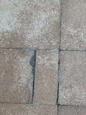 LawnScapes of South Florida