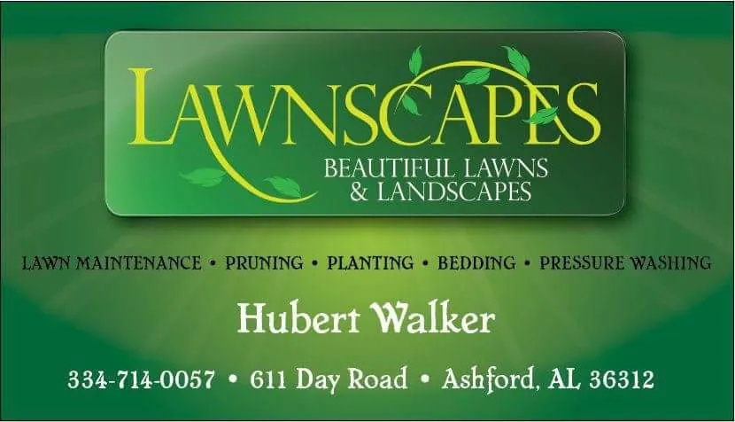 Expert lawn mowing service for beautiful yards in Dothan, AL by Lawnscapes Virtual Designs