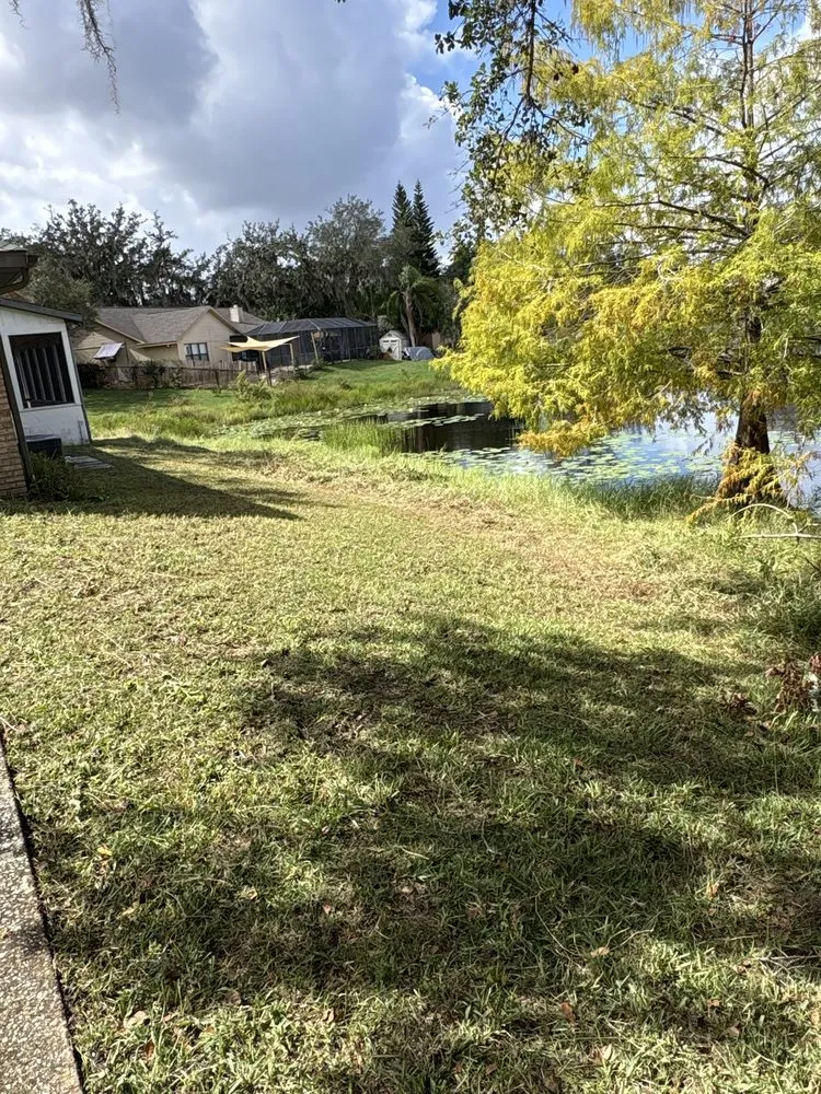 Professional lawn mowing service experts serving Deltona, FL - Lawn&Scaping