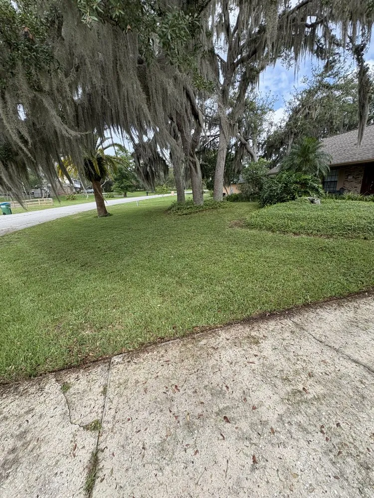 Reliable lawn care service in Deltona, FL by Lawn&Scaping