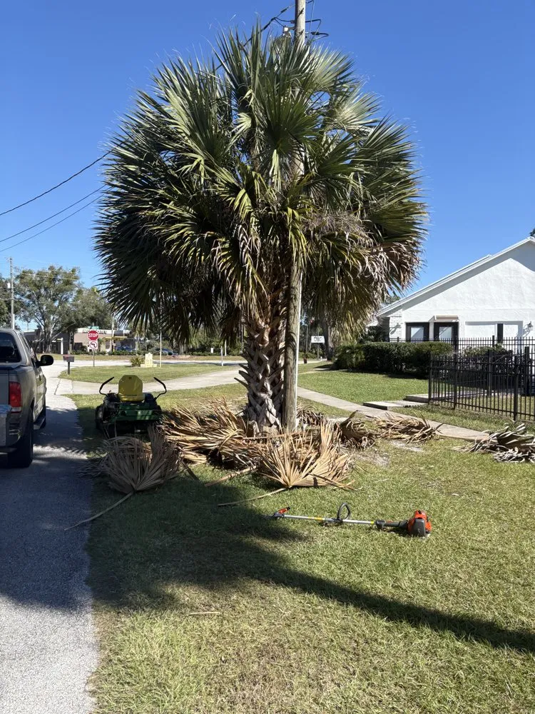 Custom landscape installation in Deltona, FL by Lawn&Scaping
