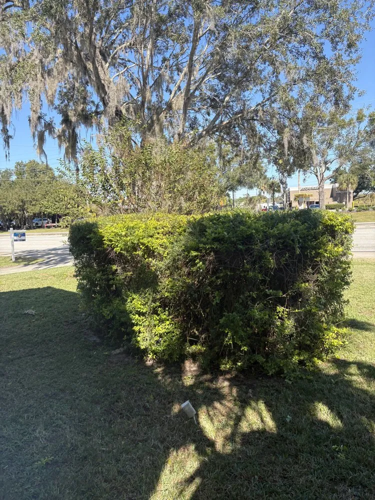 Top-rated yard cleanup service in Deltona, FL by Lawn&Scaping