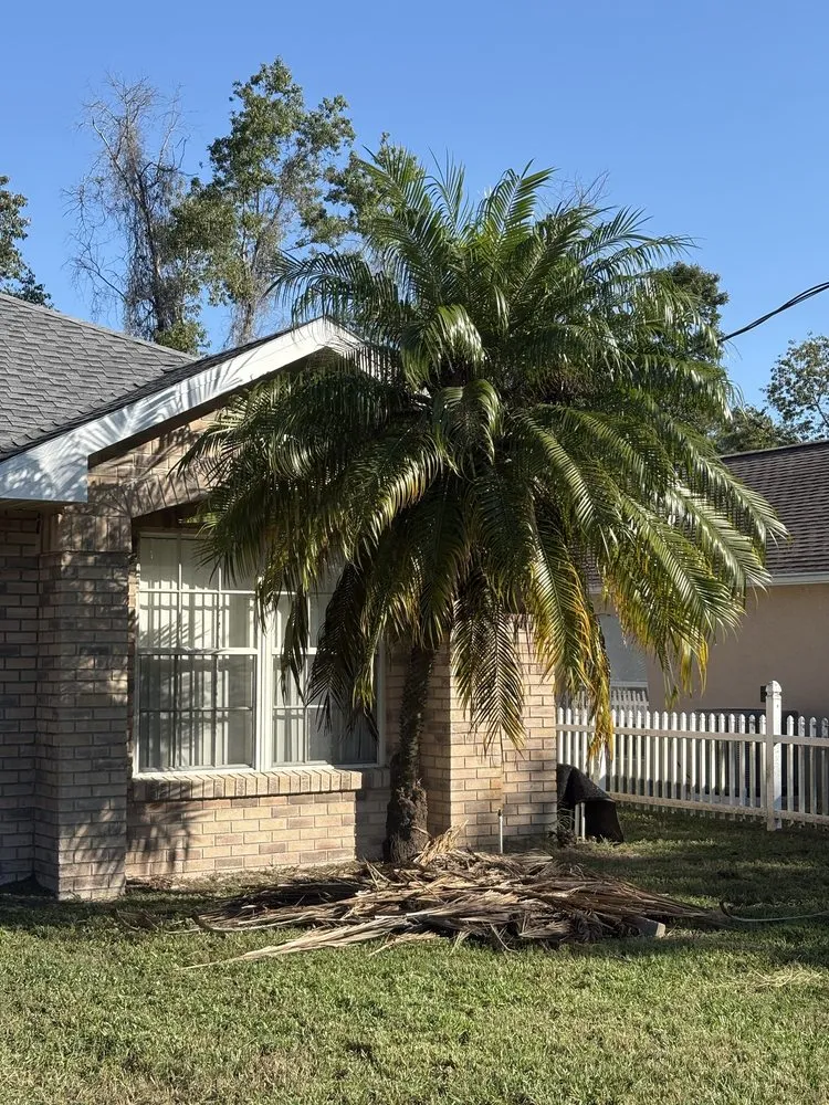 Top-rated residential landscaping in Deltona, FL - Lawn&Scaping