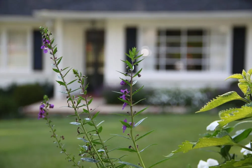 Reliable landscape installation for year-round maintenance in Atlanta, GA by LawnService.com