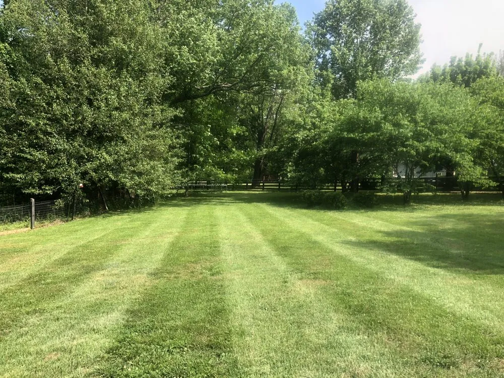 Top-rated lawn care service experts serving Lebanon, TN - LawnShark-LawnCare