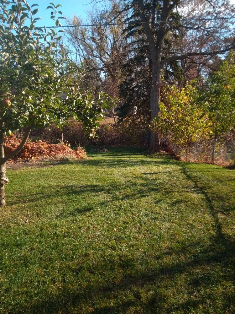 Professional outdoor landscaping for outdoor upgrades across Sebewaing, MI - Lawnshot