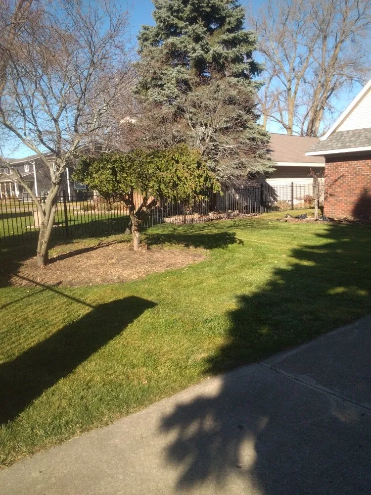 Trusted yard maintenance in Sebewaing, MI by Lawnshot