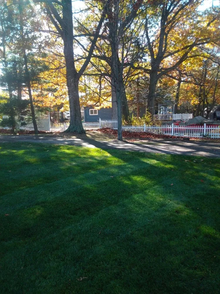 Expert yard maintenance in Sebewaing, MI by Lawnshot