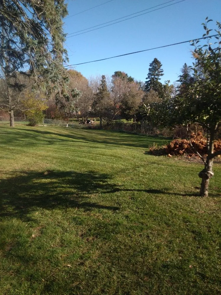 Trusted garden landscaping in Sebewaing, MI by Lawnshot