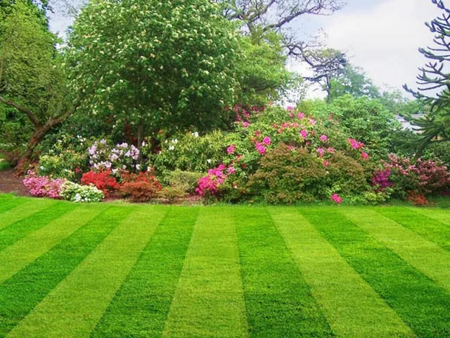 Expert landscaping services experts serving Jacksonville Beach, FL - Lawnsmith Landscaping