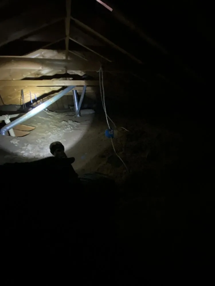 Top-rated yard cleanup service for homes across Madison, WI - LawnSnow