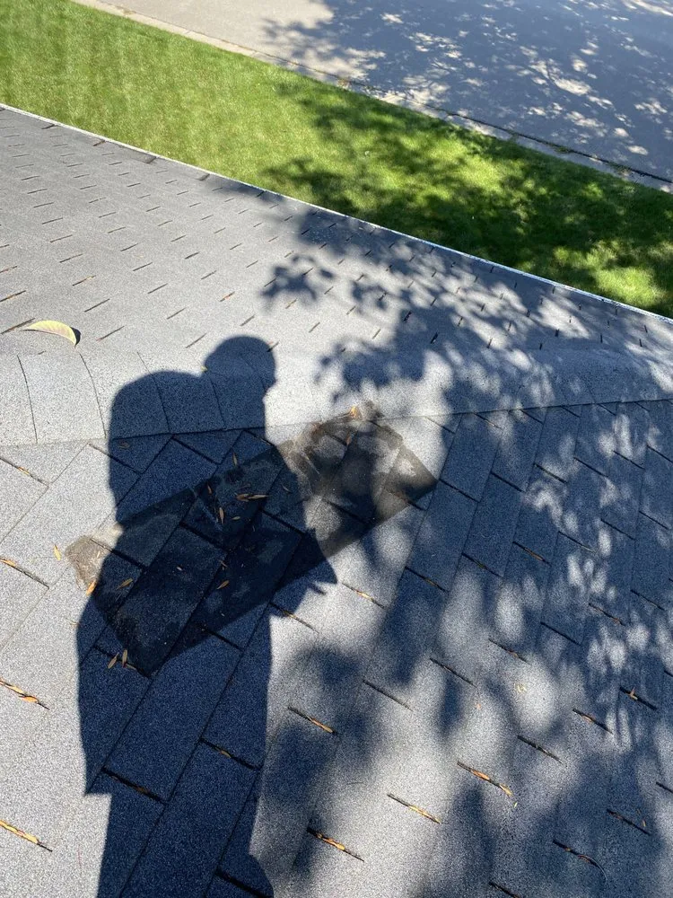 Affordable outdoor landscaping in Madison, WI by LawnSnow