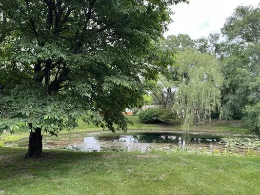 Lawnsplus Landscaping