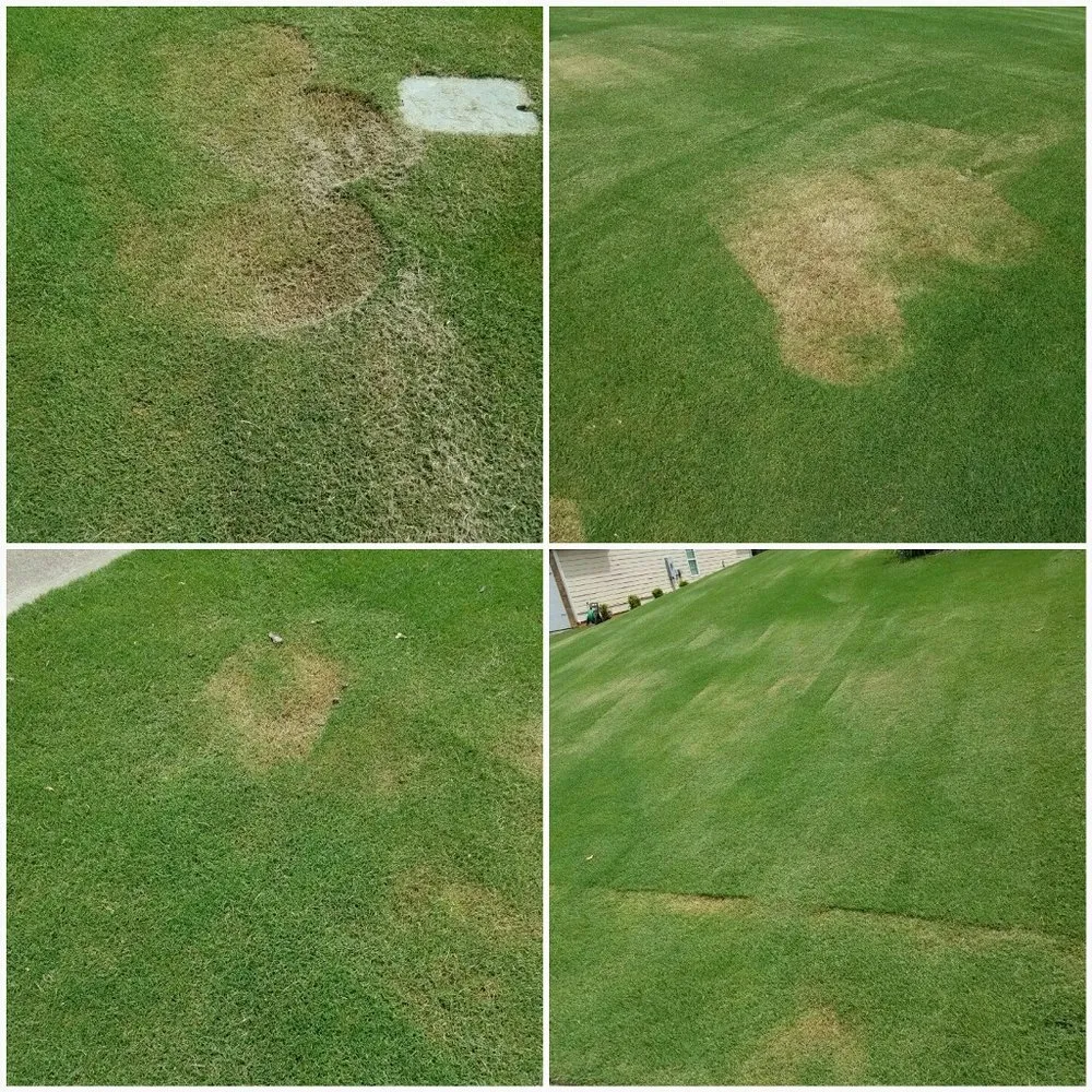 Reliable yard cleanup service near you in Bogart, GA by Lawnstar Maintenance