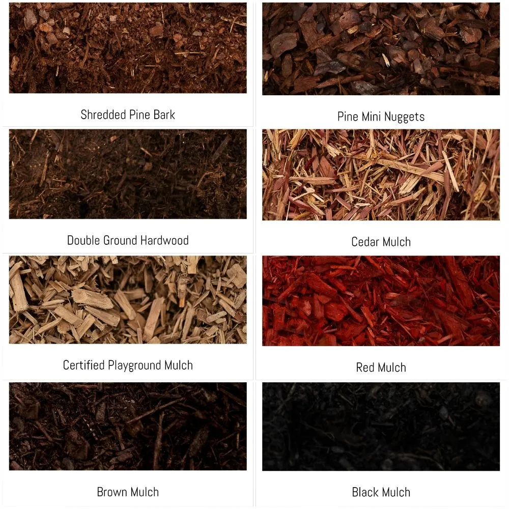 Affordable residential landscaping experts serving Madison, NC - Lawnstarz Landscape