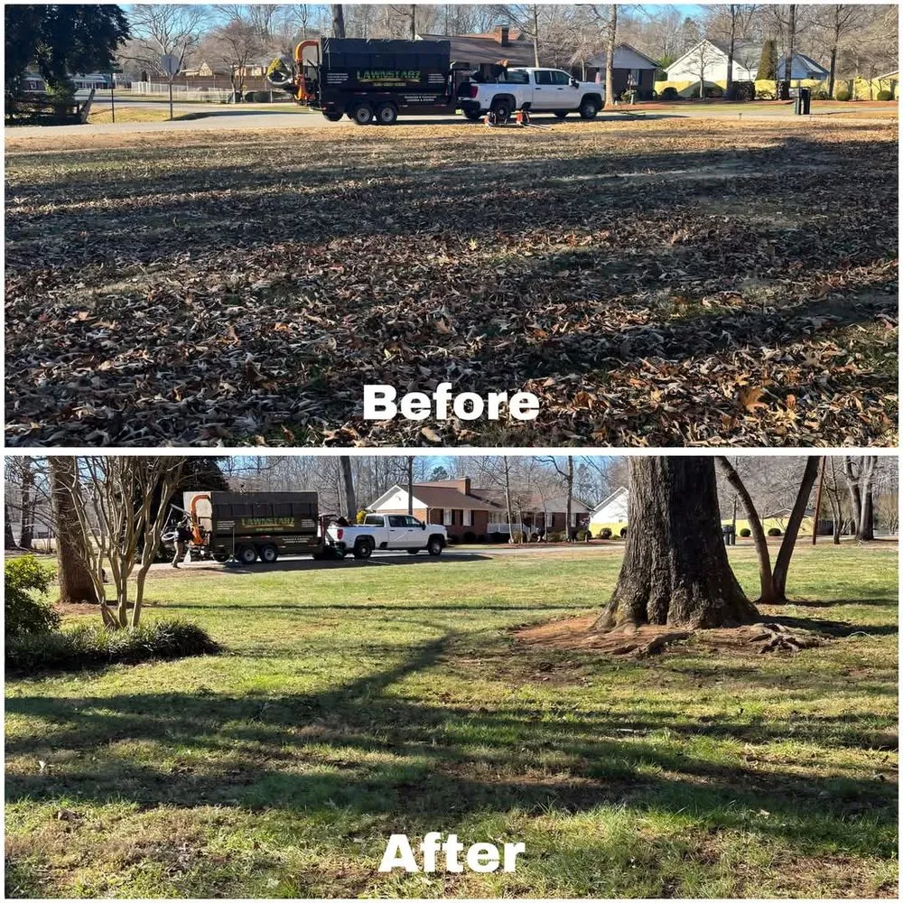 Expert yard cleanup service experts serving Madison, NC - Lawnstarz Landscape