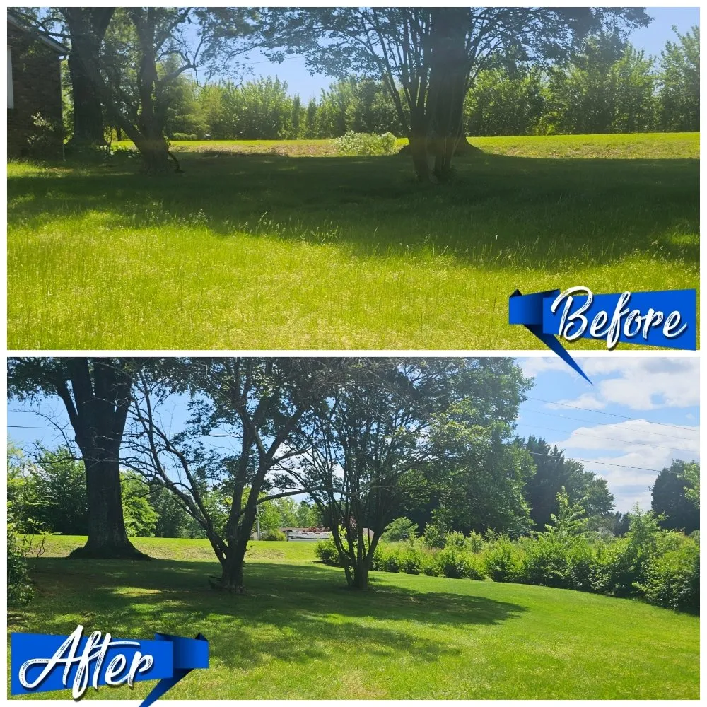 Top-rated outdoor landscaping in Madison, NC by Lawnstarz Landscape