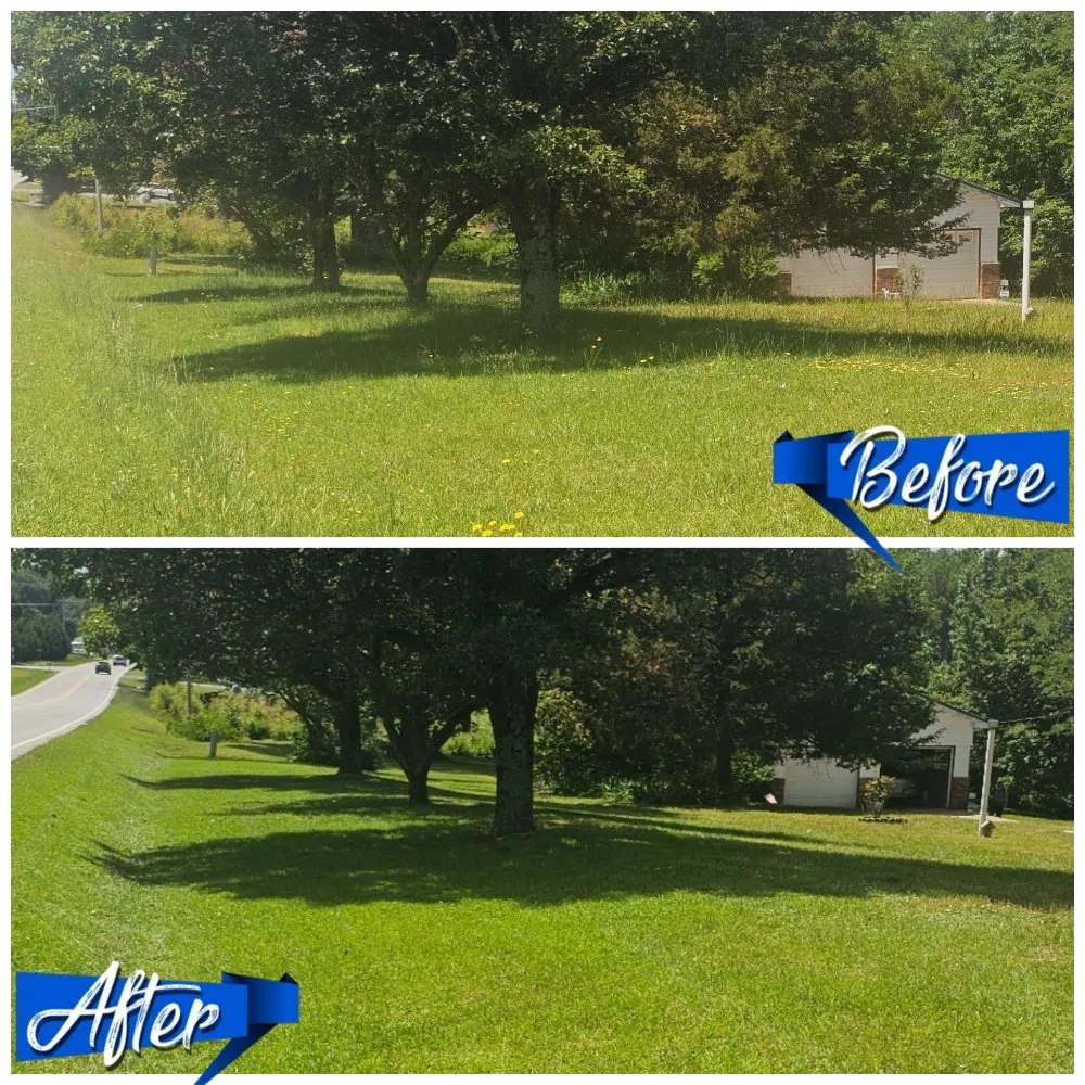 Top-rated garden landscaping in Madison, NC by Lawnstarz Landscape