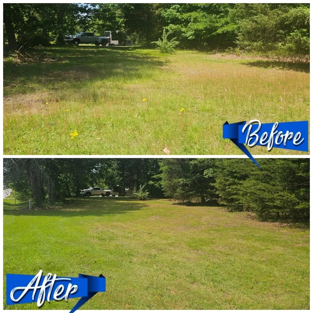 Professional residential landscaping in Madison, NC - Lawnstarz Landscape