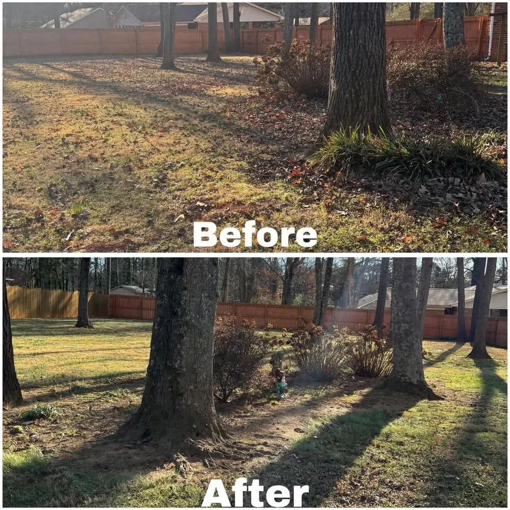 Professional lawn mowing service in Madison, NC - Lawnstarz Landscape