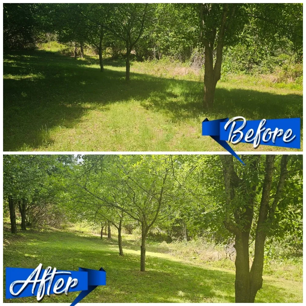 Top-rated garden landscaping in Madison, NC - Lawnstarz Landscape