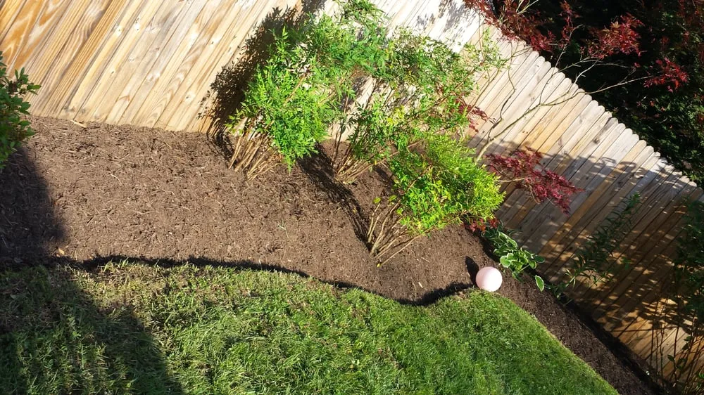 Expert lawn care service in Annandale, VA - Lawnsy