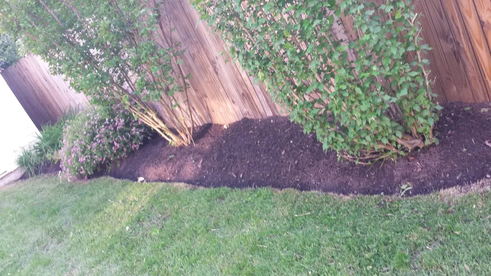 Custom landscape installation for beautiful yards across Annandale, VA - Lawnsy