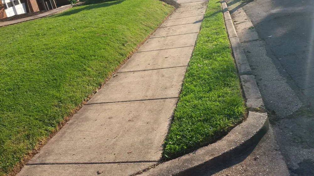 Professional yard cleanup service in Annandale, VA by Lawnsy