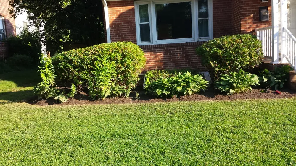 Trusted lawn care service for homes in Annandale, VA by Lawnsy